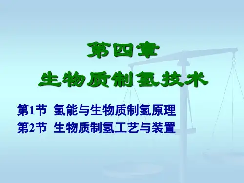 生物制氢技术上课讲义