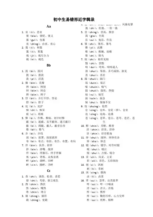易错形近字辑录