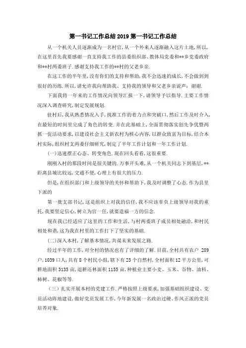 第一书记工作总结2019 第一书记工作总结 精品