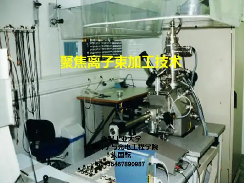 聚焦离子束报告PPT课件