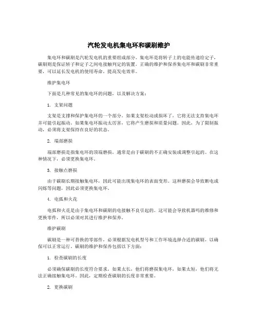 汽轮发电机集电环和碳刷维护