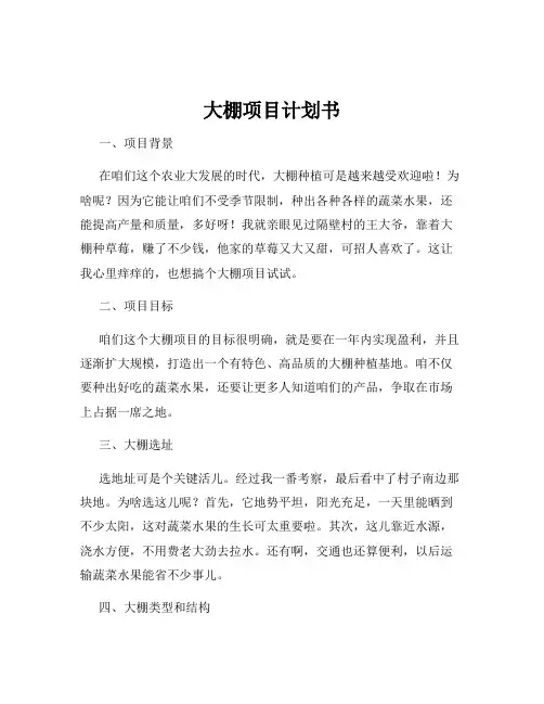 大棚项目计划书