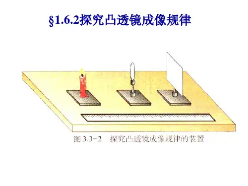 七年级科学眼和视觉