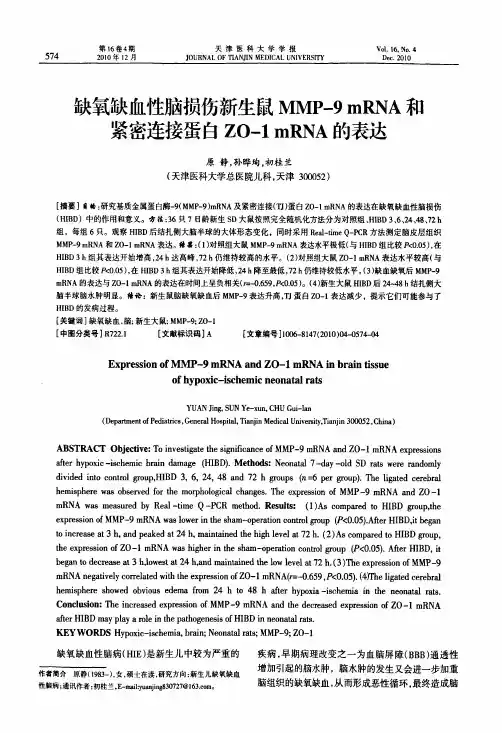 缺氧缺血性脑损伤新生鼠MMP-9 mRNA和紧密连接蛋白ZO-1 mRNA的表达