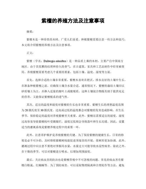 紫檀的养殖方法及注意事项