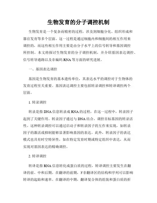 生物发育的分子调控机制