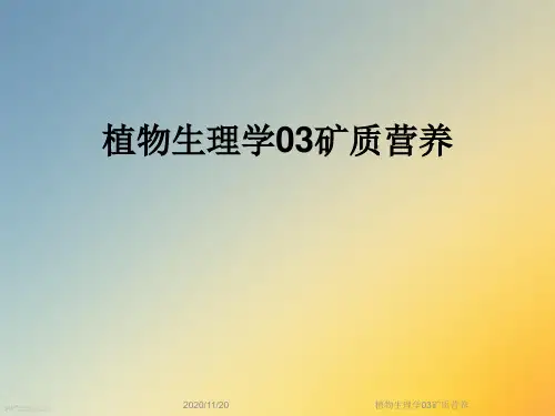 植物生理学03矿质营养