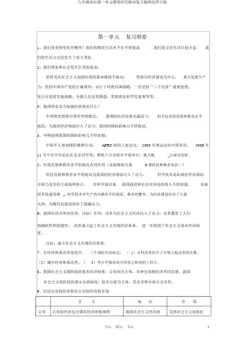 九年级政治第一单元感受时代脉动复习提纲北师大版.