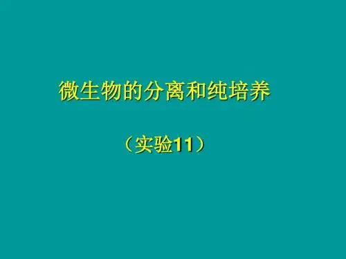 微生物的分离和纯培养 PPT课件(共4个) 中图版