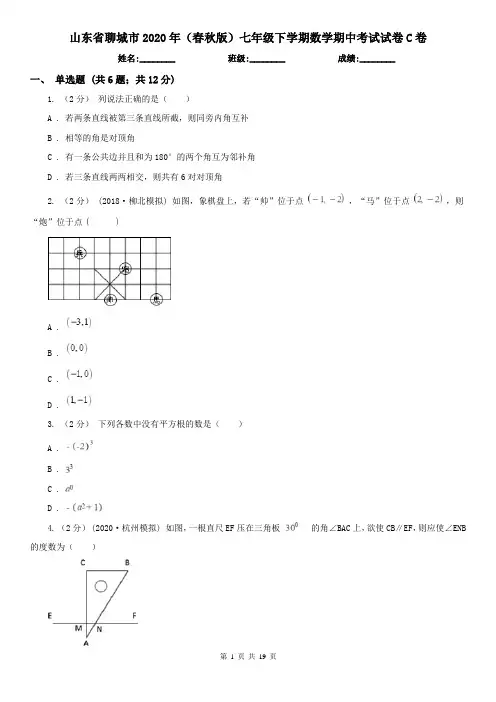 山东省聊城市2020年(春秋版)七年级下学期数学期中考试试卷C卷