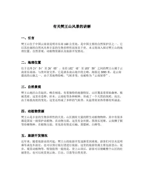 有关僰王山风景匹讲解
