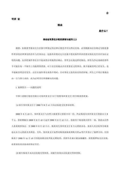 浅论证明责任分配的原则与适用(上)发展与协调