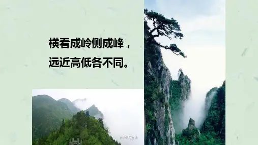 青岛版四年级数学六趣味拼搭---观察物体