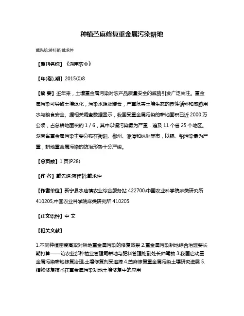 种植苎麻修复重金属污染耕地