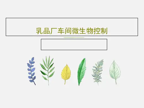 乳品厂车间微生物控制共71页文档