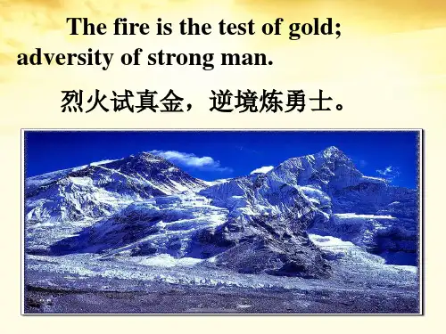 高中英语 Unit8 lesson1 Adventure Holidays课件 北师大版必修3