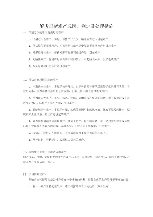 1解析母猪难产成因、判定及处理措施