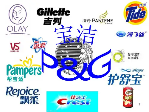 宝洁案例分析ppt课件