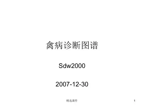 禽病诊断图谱