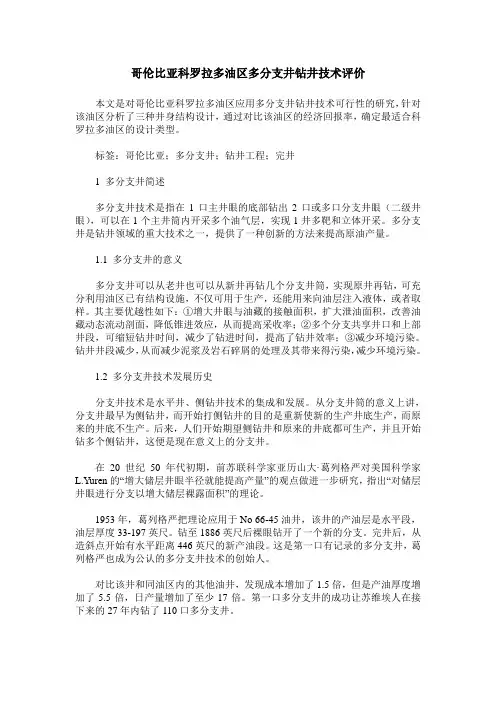 哥伦比亚科罗拉多油区多分支井钻井技术评价