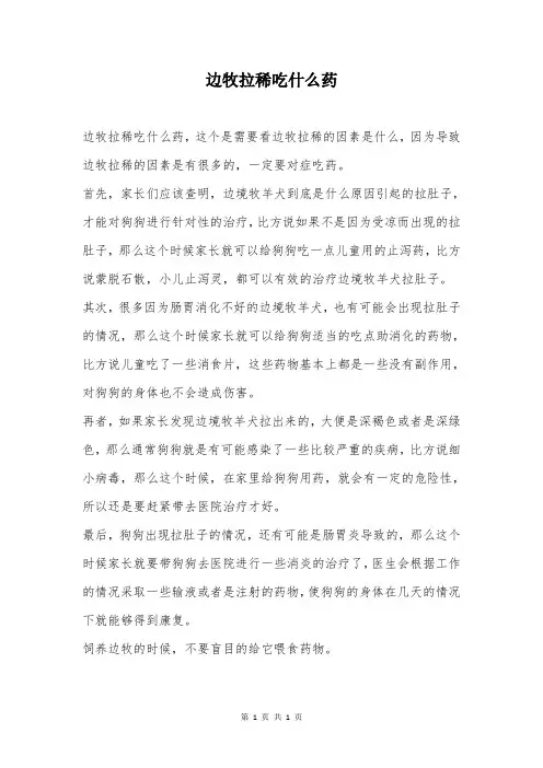 边牧拉稀吃什么药