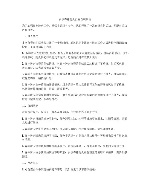 乡镇森林防火自查自纠报告