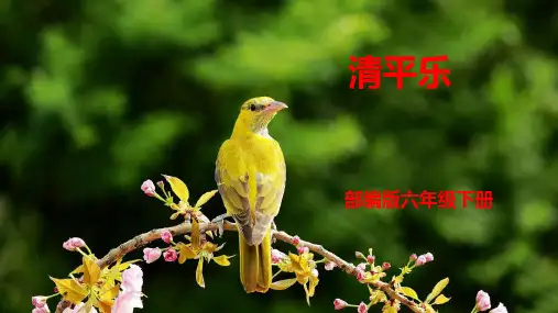 部编版六年级语文下册 古诗词诵读 清平乐 课件