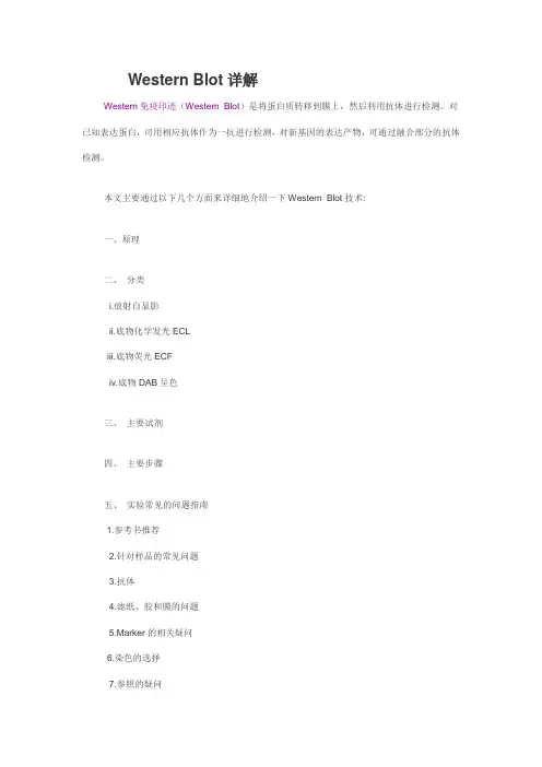 WB常见问题的解答