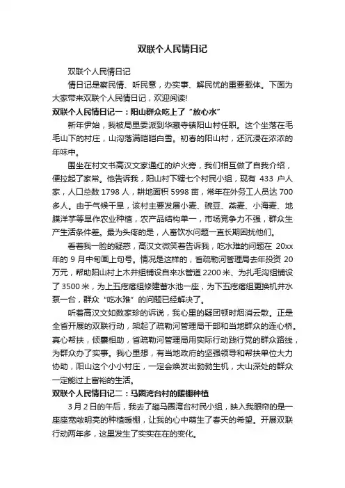 双联个人民情日记