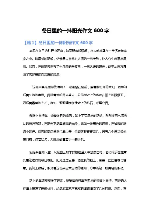 冬日里的一抹阳光作文600字