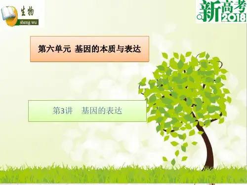 (全国卷 地区专用)高考生物总复习 第六单元 基因的本质与表达 第3讲 基因的表达课件.ppt