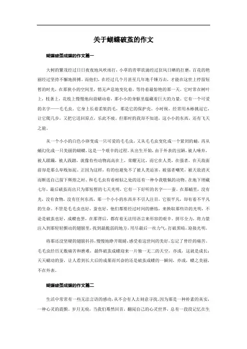 关于蝴蝶破茧的作文