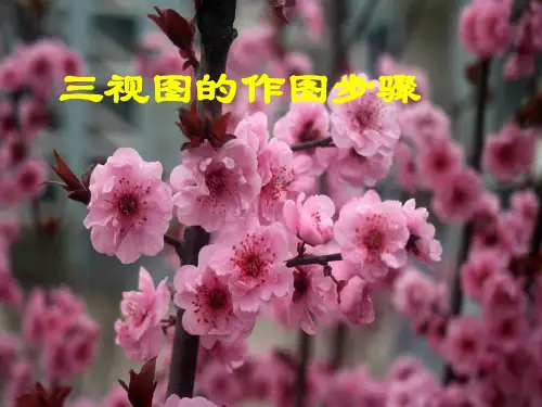 三视图的作图步骤[优质PPT]
