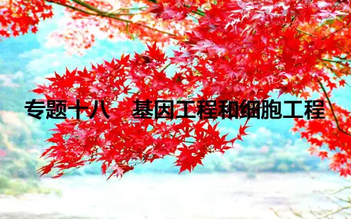 高考生物二轮复习专题十八基因工程和细胞工程课件高三全册生物课件