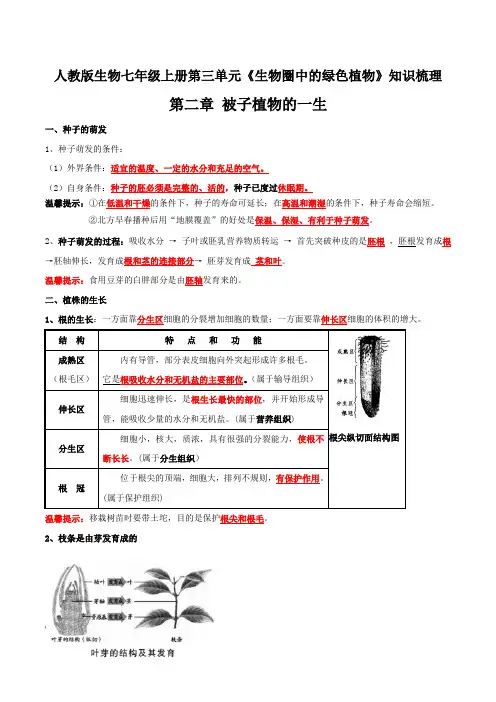 被子植物的一生必背知识(人教版七年级上册)