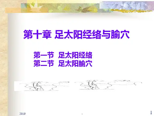 第十章足太阳膀胱经总结ppt课件