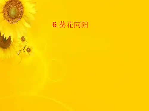 五年级上册科学课件-6葵花向阳 ｜冀教版  (共21张PPT)