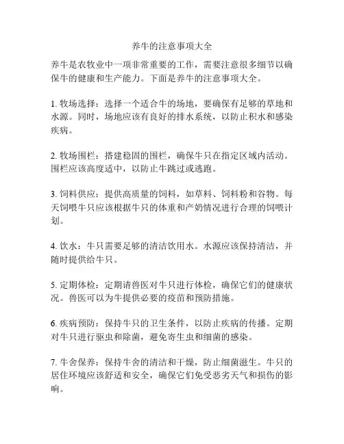 养牛的注意事项大全