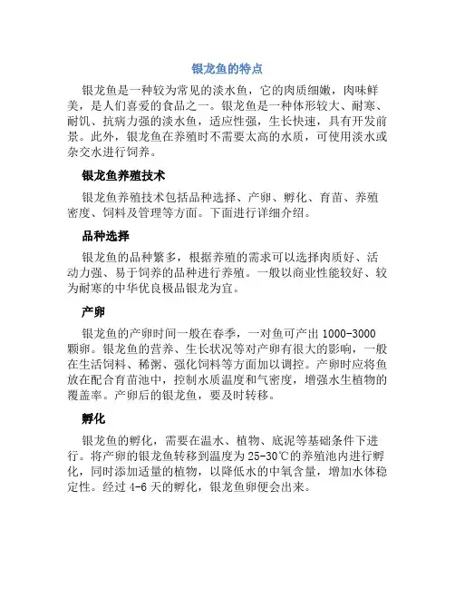 银龙鱼养殖技术