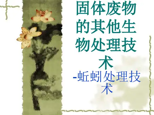 固体废物的其他生物处理技术