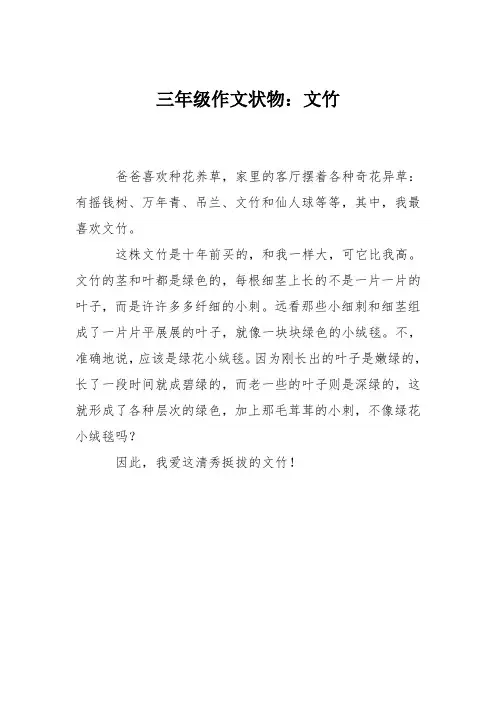 三年级作文状物：文竹