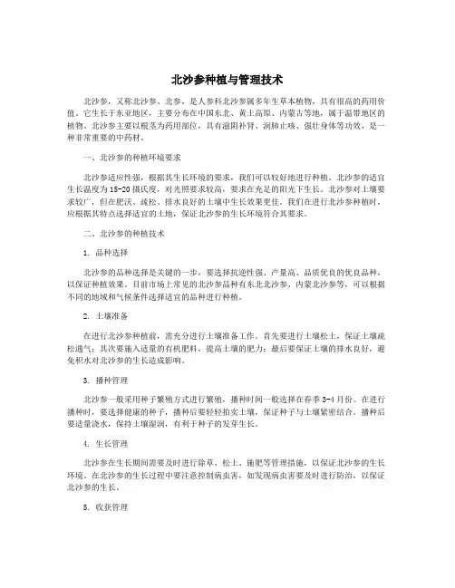 北沙参种植与管理技术