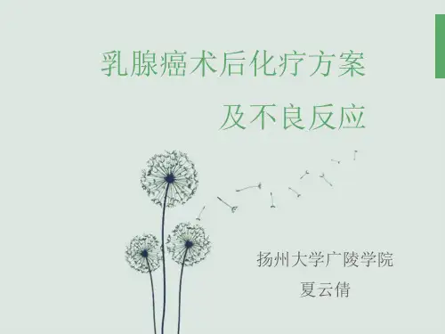 乳腺癌化疗的ppt