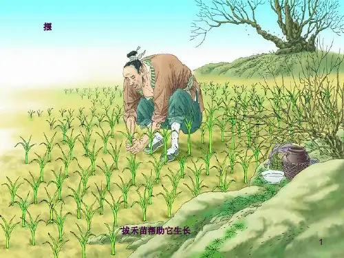 揠苗助长公开课ppt课件