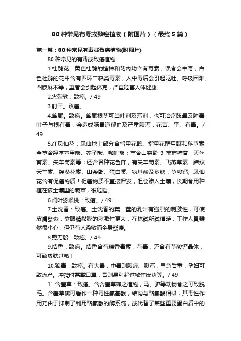 80种常见有毒或致癌植物（附图片）（最终5篇）