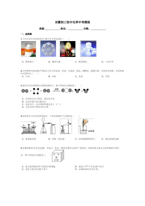 安徽初三初中化学中考模拟带答案解析
