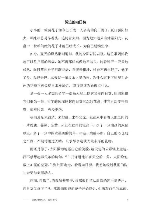 哭泣的向日葵_初三作文