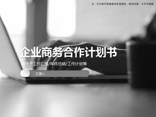 企业商务合作计划书ppt模板