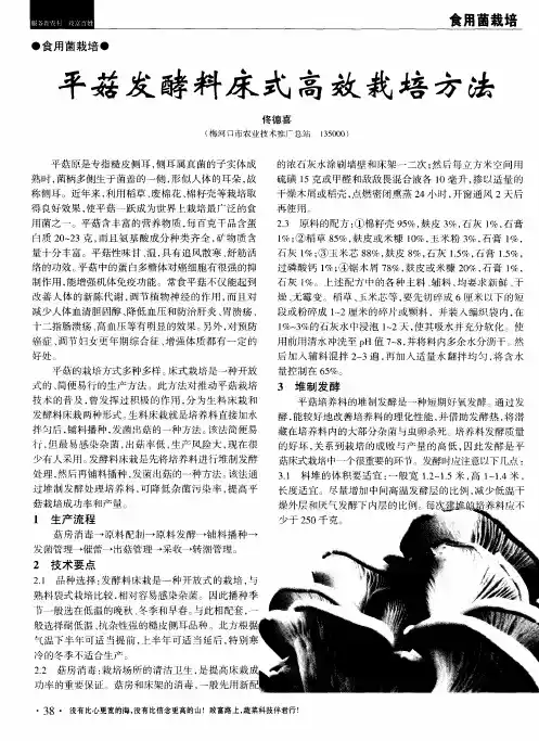 平菇发酵料床式高效栽培方法
