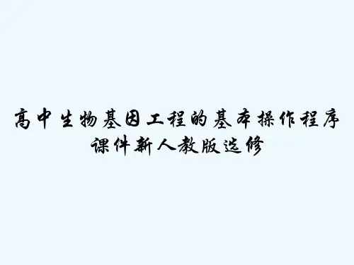 高中生物基因工程的基本操作程序课件新人教版选修-PPT